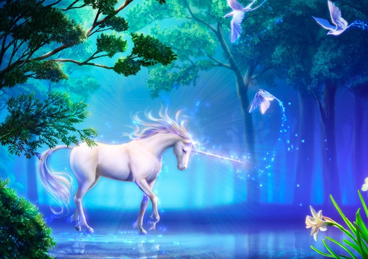 Unicorn Jigsaw Puzzles screenshot